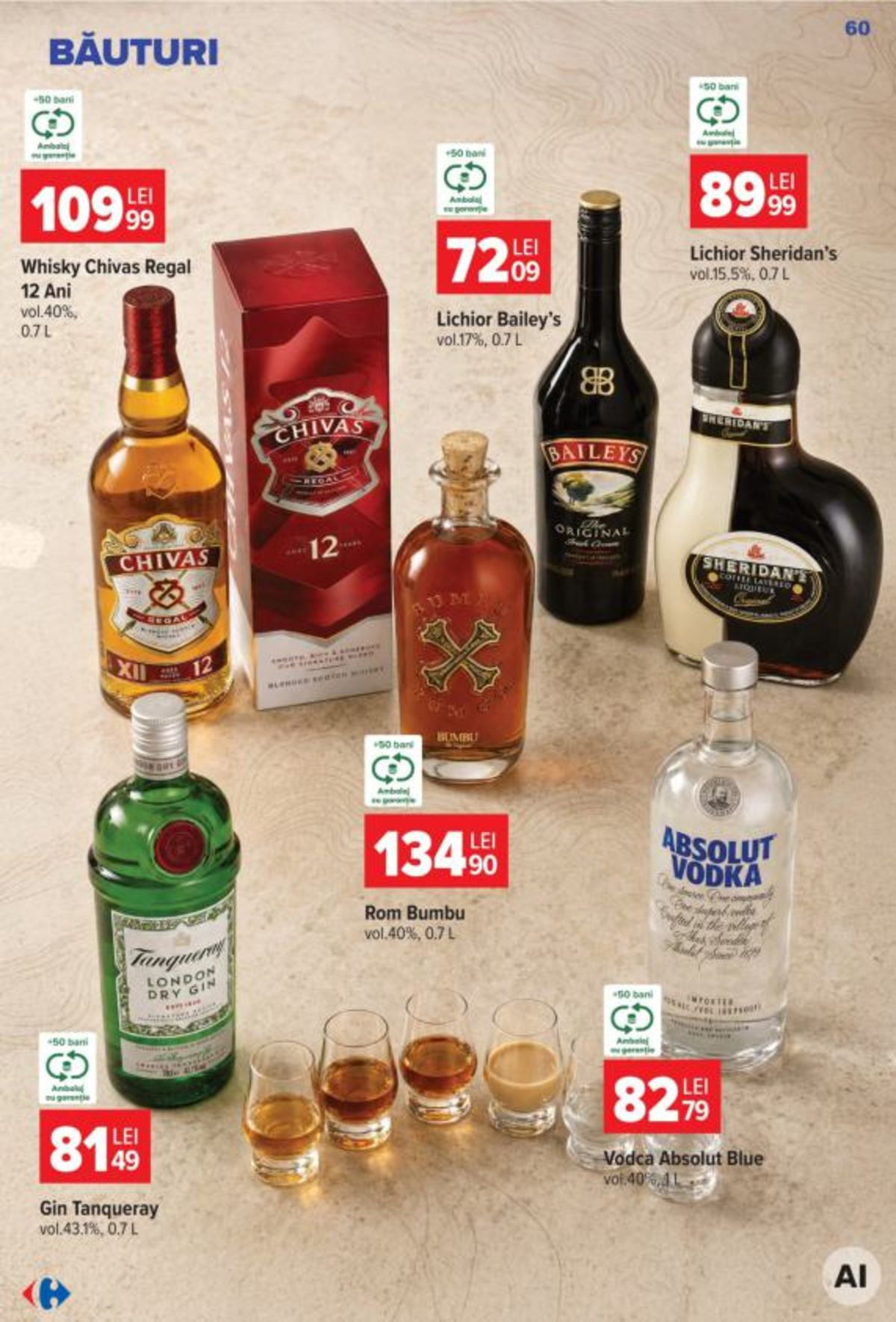 Pagina 31