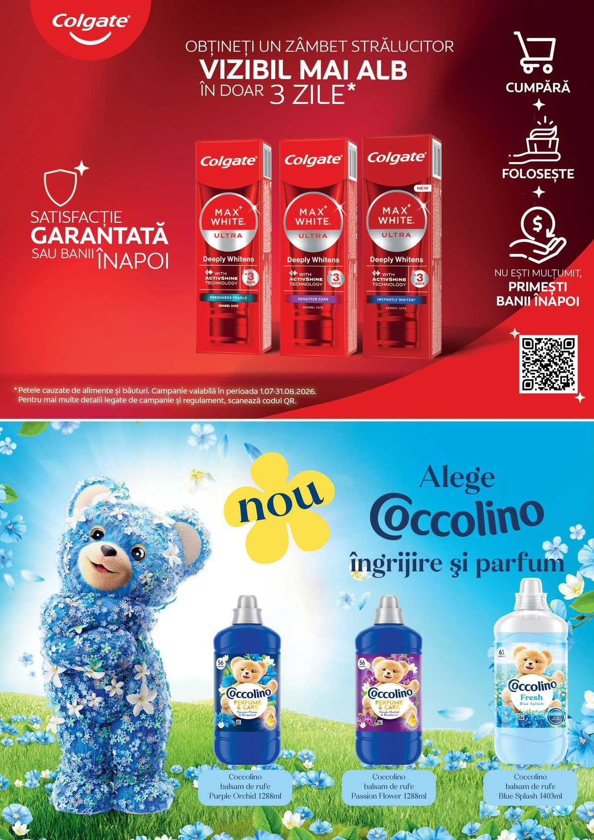Pagina 40