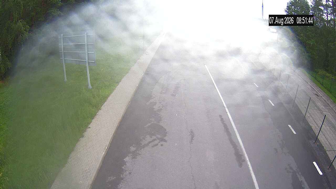 Bruzgi Exit — webcam