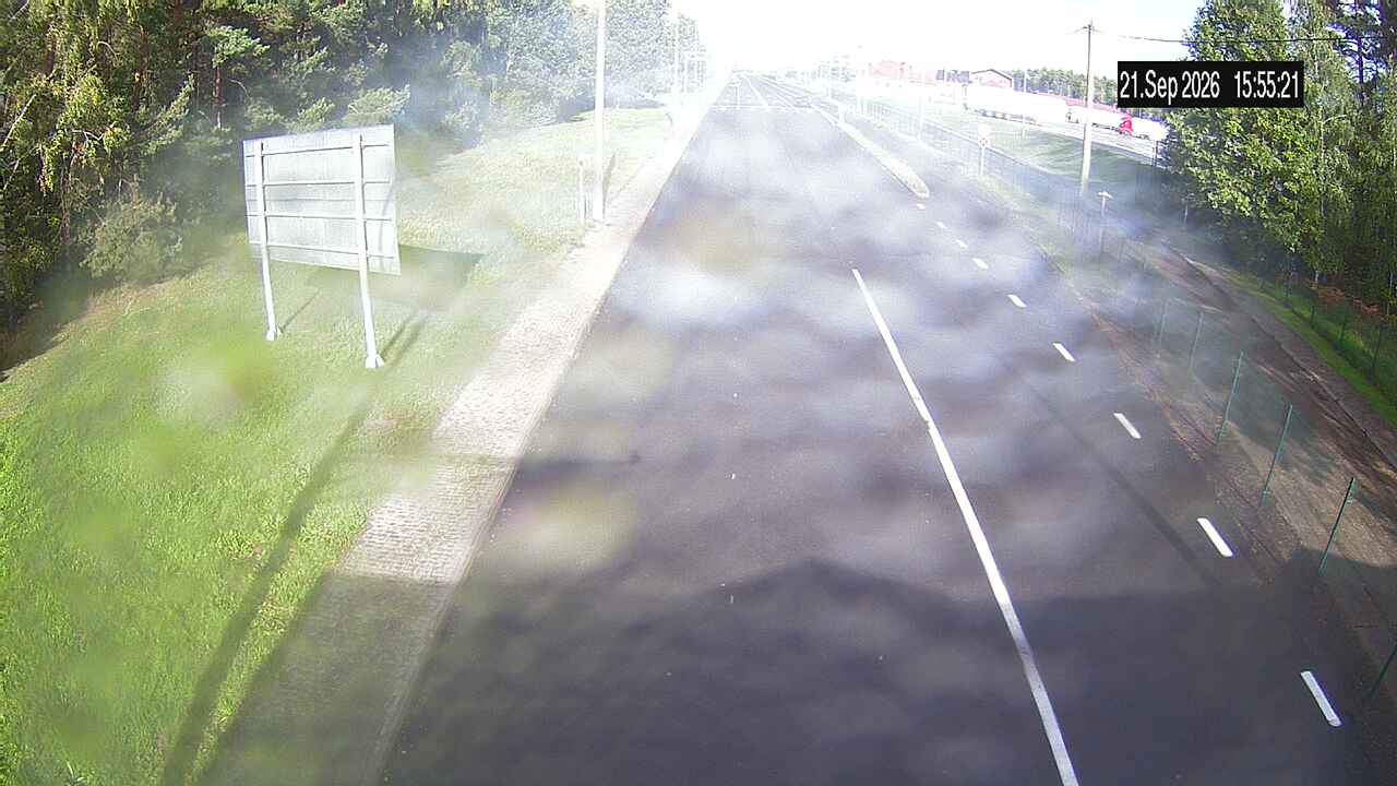 Bruzgi Exit — webcam